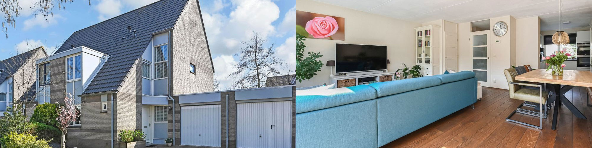 kievitsbloem-6